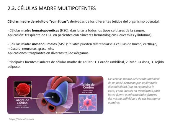 T19-Células Madre LOCUTADO