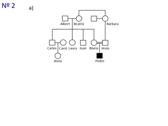 SEM5.2.1-V Herència